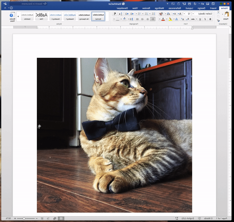 A gif showing the steps to add alternative text to an image in Microsoft Word
